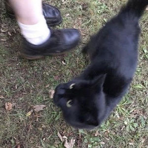 Meet your Posher, Christelle